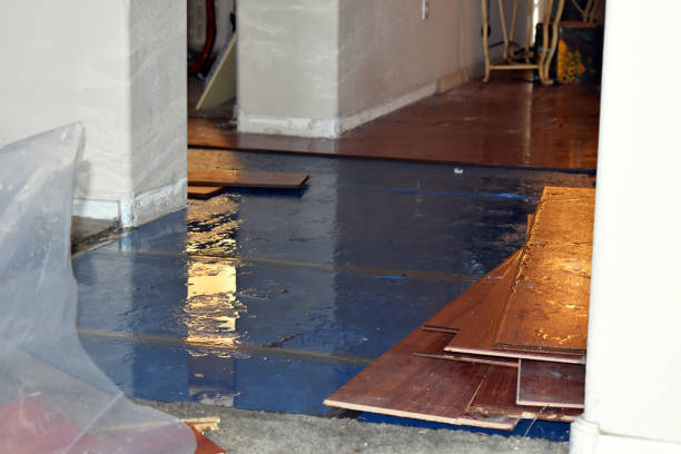 Professional Basement Flood Cleanup technician working in Leighton, AL
